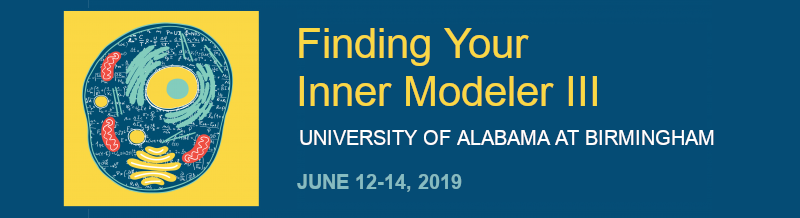 Finding Your Inner Modeler: An NSF Workshop – Year 3